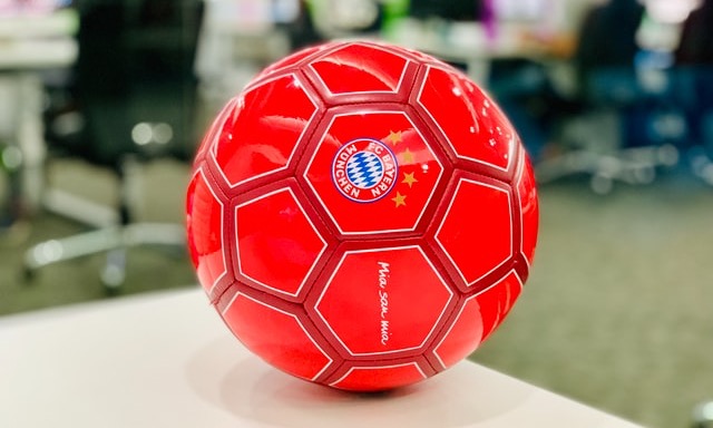 Der Verein Fc Bayern Fanclub Engadin